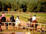 Tn IMG 1481
